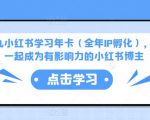 厦九九小红书学习年卡(全年IP孵化),沉浸式学习,一起成为有影响力的小红书博主-副业宇宙