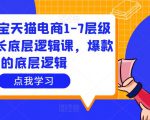 大圣淘宝天猫电商1-7层级盈利增长底层逻辑课,爆款的底层逻辑-副业宇宙