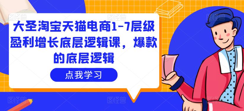大圣淘宝天猫电商1-7层级盈利增长底层逻辑课，爆款的底层逻辑-副业宇宙