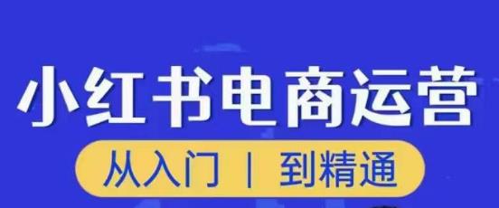顽石小红书电商高阶运营课程，从入门到精通，玩法流程持续更新-副业宇宙