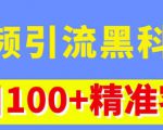 视频引流黑科技玩法,不花钱推广,视频播放量达到100万+,每日100+精准客源-副业宇宙