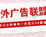 外面收费1980的最新国外LEAD广告联盟搬砖项目,单号一天至少30美金【详细玩法教程】-副业宇宙