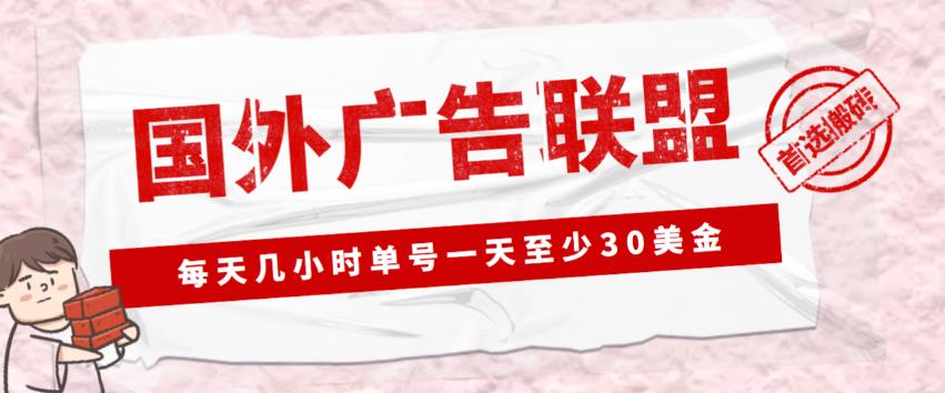外面收费1980的最新国外LEAD广告联盟搬砖项目，单号一天至少30美金【详细玩法教程】-副业宇宙
