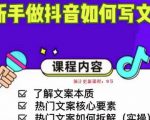 新手做抖音如何写文案，手把手实操如何拆解热门文案-副业宇宙