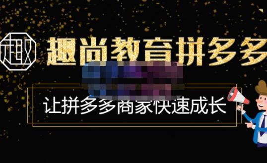 趣尚教育·拼多多运营实操VIP特训营，让拼多多商家快速成长-价值3180元-副业宇宙
