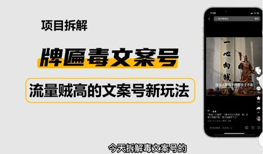 2023抖音快手毒文案新玩法，牌匾文案号，起号快易变现-副业宇宙