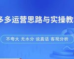 拼多多店铺运营思路与实操教程，快速学会拼多多开店和运营，少踩坑，多盈利-副业宇宙