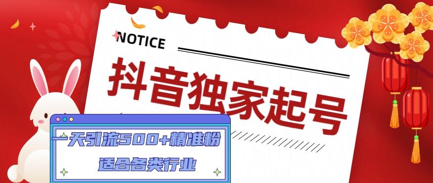 抖音独家起号，一天引流500+精准粉，适合各类行业（9节视频课）-副业宇宙