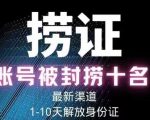 2023年最新抖音八大技术,一证多实名,秒注销,断抖破投流,永久捞证,钱包注销,跳人脸识别,蓝V多实-副业宇宙