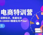 美团电商特训营：美团·店群玩法，无脑铺货月产出6000-15000+精细化月产2w+-副业宇宙