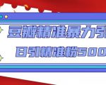 豆瓣精准暴力引流，日引精准粉500+【12课时】-副业宇宙