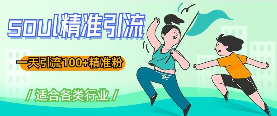 soul精准引流系列课程，一天引流100+精准粉，适合各类行业-副业宇宙