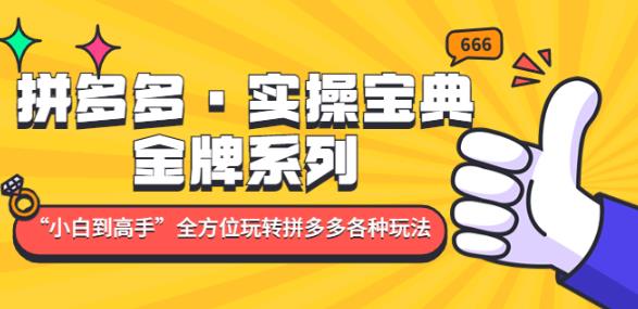 拼多多·实操宝典：金牌系列“小白到高手”带你全方位玩转拼多多各种玩法-副业宇宙