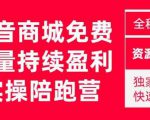 抖音商城搜索持续盈利陪跑成长营，抖音商城搜索从0-1、从1到10的全面解决方案-副业宇宙