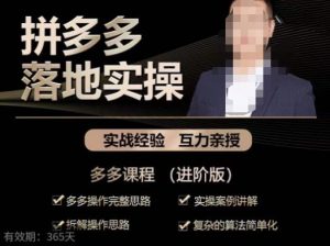 拼多多实战篇·落地实操:多多操作完整思路+实操案例讲解+拆解操作思路+复杂的算法简单化-副业宇宙