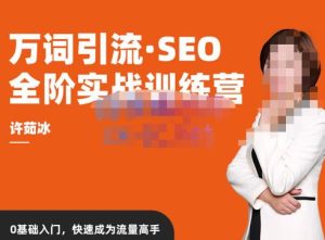 许茹冰·万词引流-SEO全阶实战训练营，0基础入门，快速成为流量高手-副业宇宙