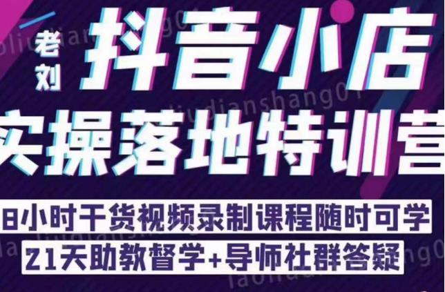 抖音小店实操落地特训营：抖音小店无货源精细化运营，抖店商品卡流量（22节）-副业宇宙