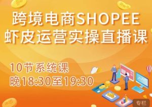 跨境电商Shopee虾皮运营实操直播课，从零开始学，入门到精通（10节系统课）-副业宇宙
