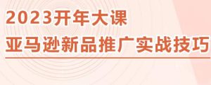 2023亚马逊新品推广实战技巧，线下百万美金课程的精简版，简单粗暴可复制，实操性强的推广手段-副业宇宙