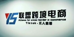 YS联盟·Tiktok无人直播，不出镜不剪辑不拍摄不发货无售后的跨境短视频躺赚玩法-副业宇宙