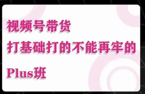 大播汇·视频号带货Puls班，视频号底层逻辑，起号自然流鱼塘等玩法-副业宇宙