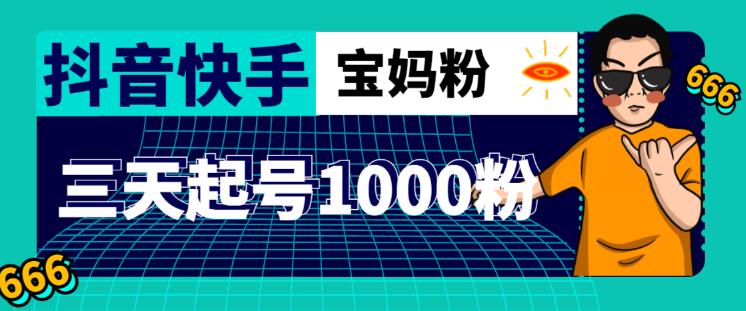 抖音快手三天起号涨粉1000宝妈粉丝的核心方法【详细玩法教程】-副业宇宙