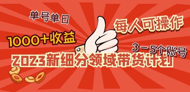 2023新细分领域带货计划：单号单日1000+收益不难，每人可操作3-5个账号-副业宇宙