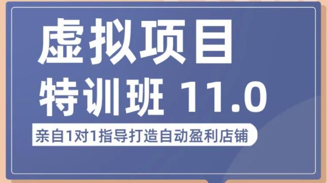 陆明明·虚拟项目特训班（10.0+11.0），0成本获取虚拟素材，0基础打造自动盈利店铺-副业宇宙