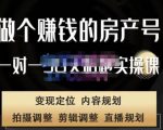 刘广标·同城房产号线上陪跑课,拍摄、剪辑、写文案、直播,做一个具有潜力价值的房产号-副业宇宙