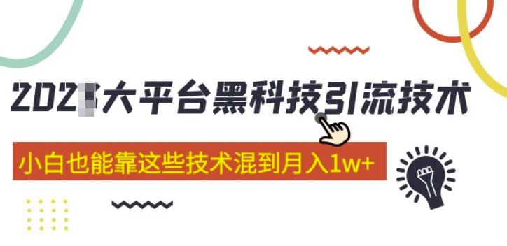 大平台黑科技引流技术，小白也能靠这些技术混到月入1w+(2022年的课程）-副业宇宙