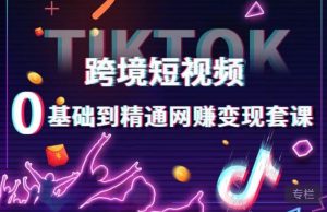 跨境短视频TIKTOK 0基础到精通网赚变现套课，跨境短视频独立站带货变现技巧-副业宇宙