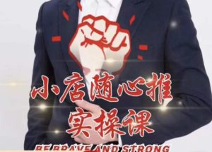 随心推线上课，小店随心推的投放逻辑，投放技巧，快速打标签-副业宇宙