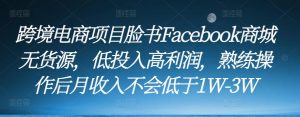 跨境电商项目脸书Facebook商城无货源，低投入高利润，熟练操作后月收入不会低于1W-3W-副业宇宙