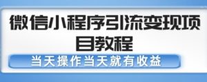 微信小程序引流变现项目教程，当天操作当天就有收益，变现不再是难事-副业宇宙