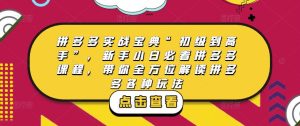 拼多多实战宝典“初级到高手”，新手小白必看拼多多课程，带你全方位解读拼多多各种玩法-副业宇宙