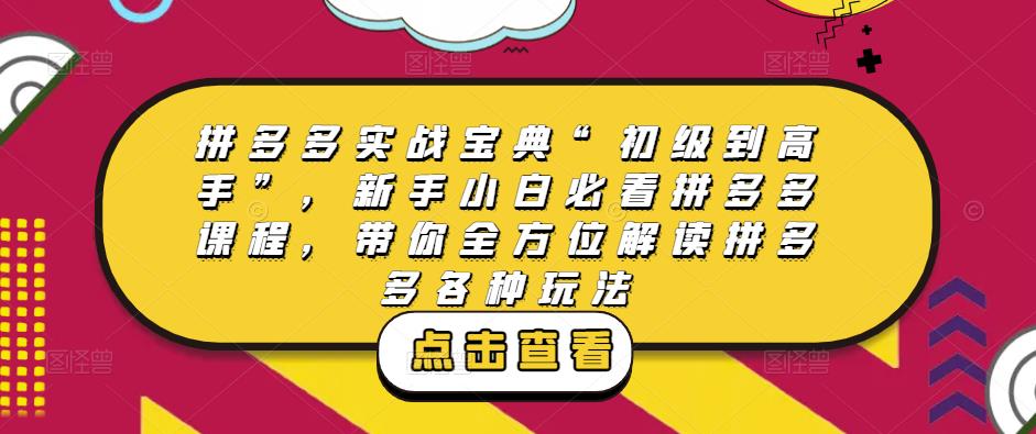 拼多多实战宝典“初级到高手”，新手小白必看拼多多课程，带你全方位解读拼多多各种玩法-副业宇宙