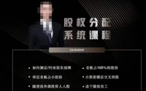 韩老师聊美业-美业股权分配系统课程，如何制定约束股东规则+老板占100%的股份+单店老板占小股份等-副业宇宙