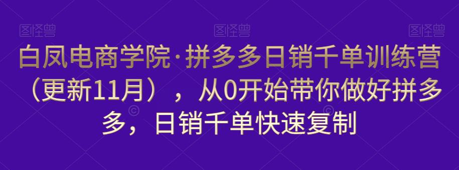 白凤电商学院·拼多多日销千单训练营，从0开始带你做好拼多多，日销千单快速复制（更新知2023年3月）-副业宇宙
