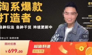 锋投老叶全店动销,淘系干货汇总,各种玩法,淘系爆款打造者-副业宇宙