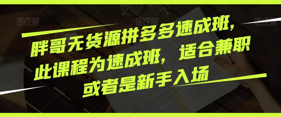 胖哥无货源拼多多速成班，此课程为速成班，适合兼职或者是新手入场-副业宇宙