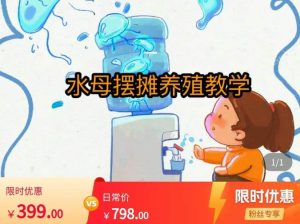 水母摆摊教学，包括摆摊技术、养殖技术、拿货渠道、抖音运营等-副业宇宙