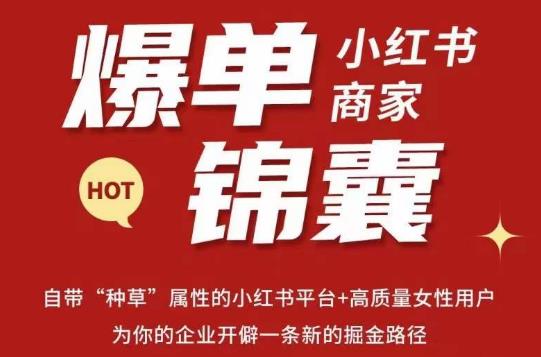 无畏·小红书商家爆单锦囊，掌握小红书各大规则，快速精准抢占行业和市场-副业宇宙