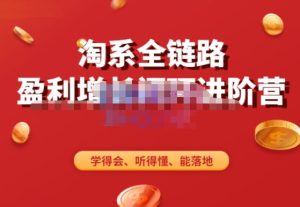 淘系全链路盈利增长闭环进阶营，融合全店动销，学得会、听得懂、能落地！-副业宇宙