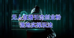 外面收费3980的无人直播引流创业粉落地实操玩法,单日引100+精准创业粉-副业宇宙