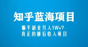 知乎蓝海玩法，躺平副业月入1W+，真正的睡后收入项目（6节视频课）-副业宇宙