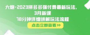 大炮·2023拼多多强付费最新玩法，3月新课​78分钟详细讲解玩法流程-副业宇宙