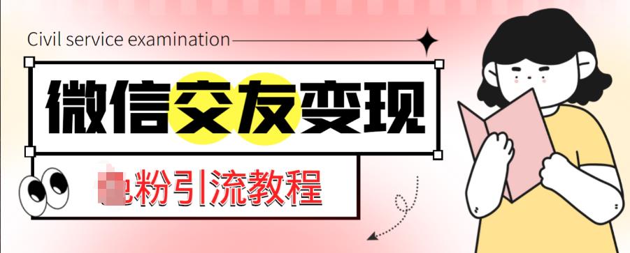 微信交友变现项目，吸引全网LSP男粉精准变现，小白也能轻松上手，日入500+-副业宇宙