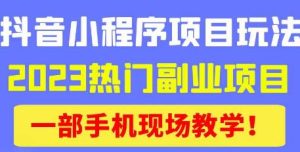 抖音小程序9.0新技巧，2023热门副业项目，动动手指轻松变现-副业宇宙