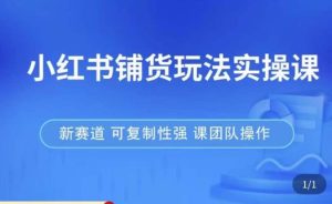 小红书铺货玩法实操课，流量大，竞争小，非常好做，新赛道，可复制性强，可团队操作-副业宇宙