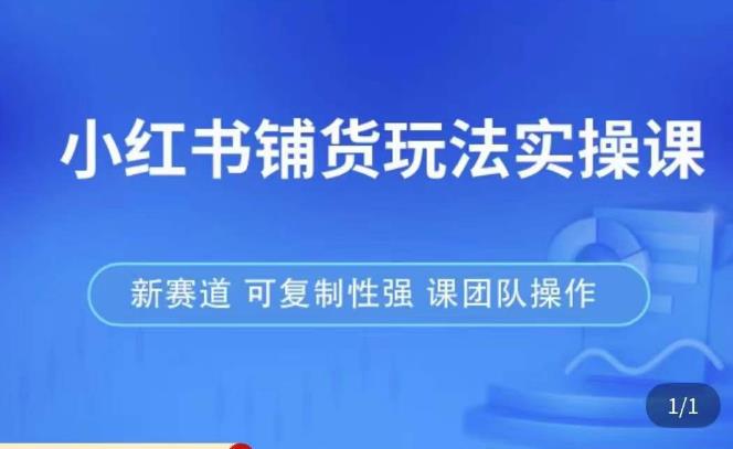 小红书铺货玩法实操课，流量大，竞争小，非常好做，新赛道，可复制性强，可团队操作-副业宇宙